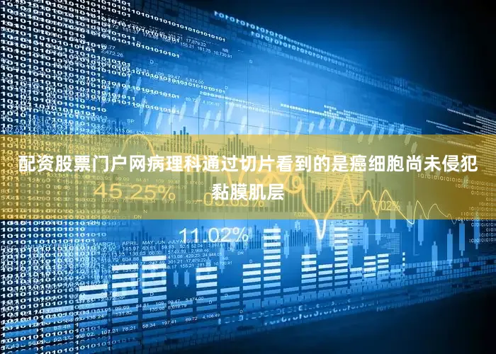 配资股票门户网病理科通过切片看到的是癌细胞尚未侵犯黏膜肌层