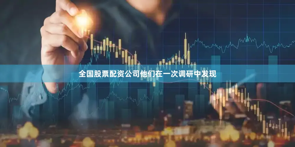 全国股票配资公司他们在一次调研中发现