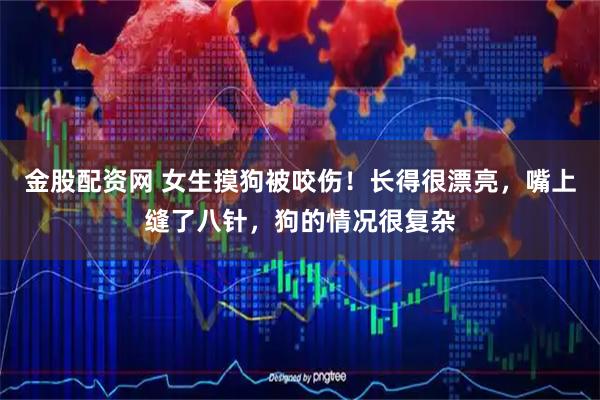 金股配资网 女生摸狗被咬伤！长得很漂亮，嘴上缝了八针，狗的情况很复杂