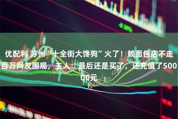 优配利 苏州“十全街大馋狗”火了！赖面包店不走引百万网友围观，主人：最后还是买了，还充值了500元