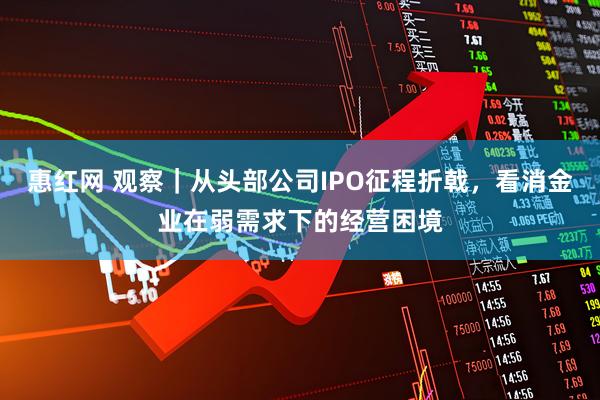 惠红网 观察｜从头部公司IPO征程折戟，看消金业在弱需求下的经营困境