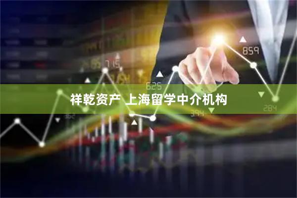 祥乾资产 上海留学中介机构