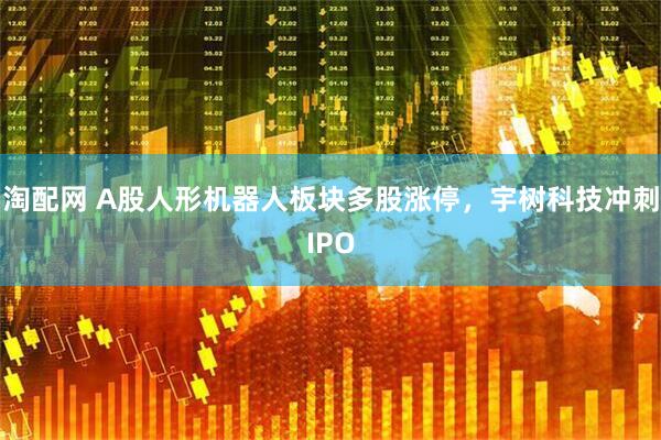 淘配网 A股人形机器人板块多股涨停，宇树科技冲刺IPO