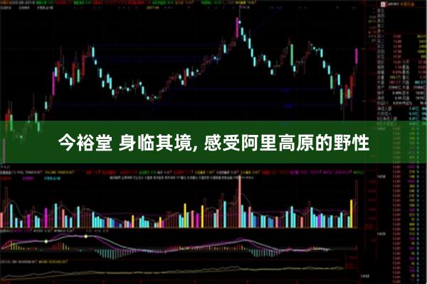今裕堂 身临其境, 感受阿里高原的野性